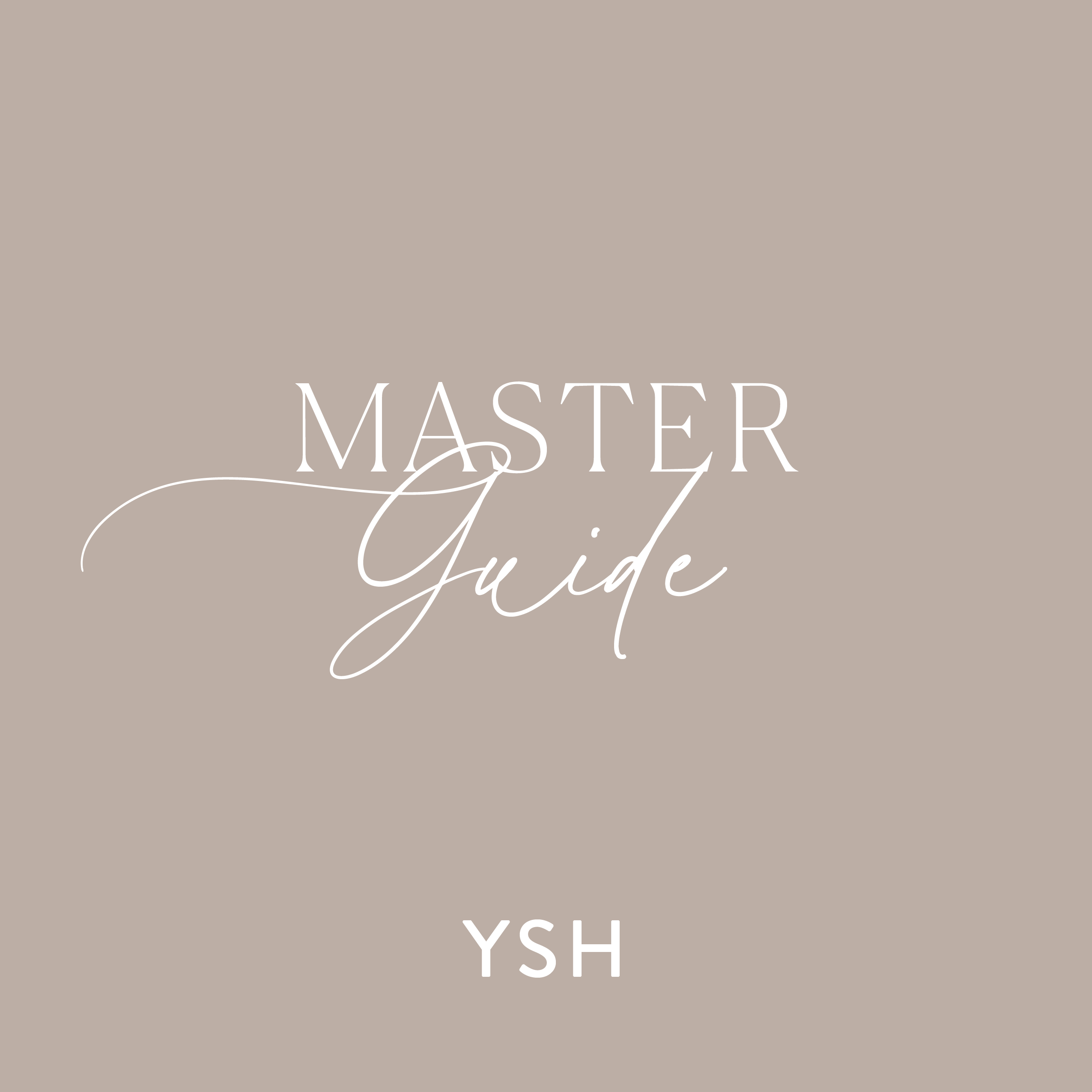 Master Guide